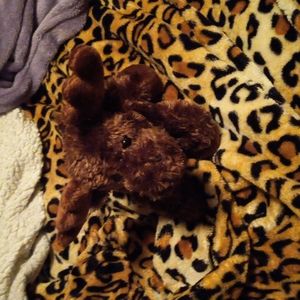 Small moose plush